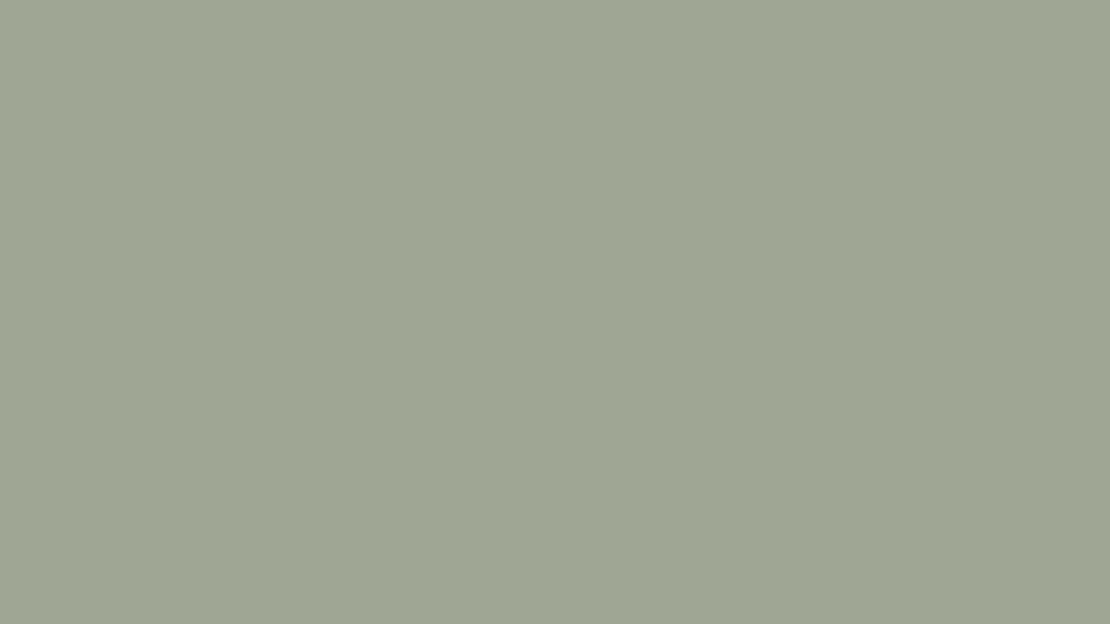 A light grayish-green solid color fills the entire image, conveying a calm and neutral tone. No additional elements or textures are present.