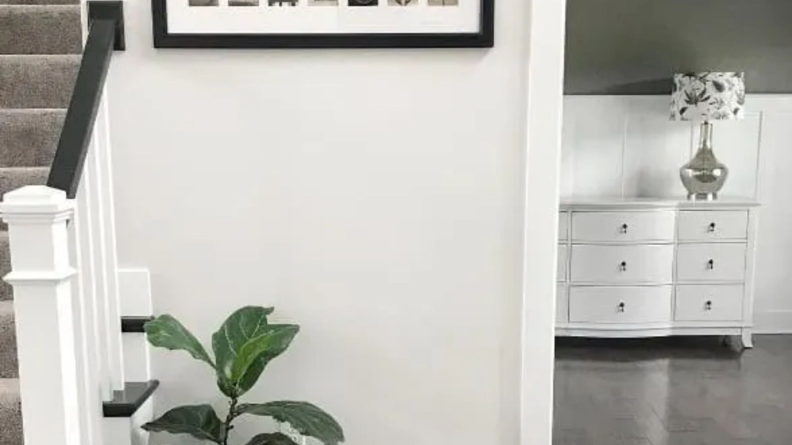 Elegant white staircase featuring a decorative potted plant on one of the steps.